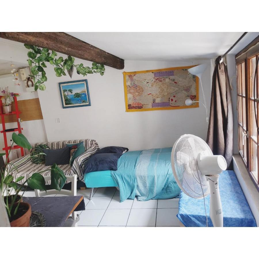 Appartement Cosy Au Coeur De 몽펠리에 외부 사진