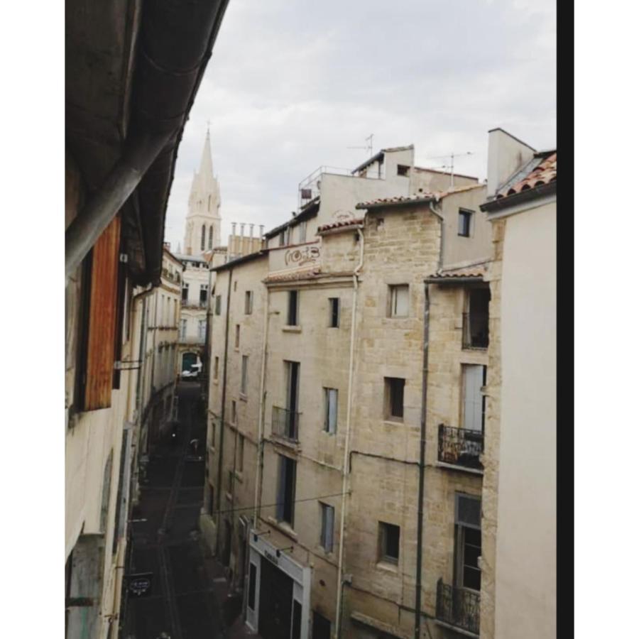 Appartement Cosy Au Coeur De 몽펠리에 외부 사진